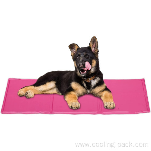 Cooling ice mat for dog